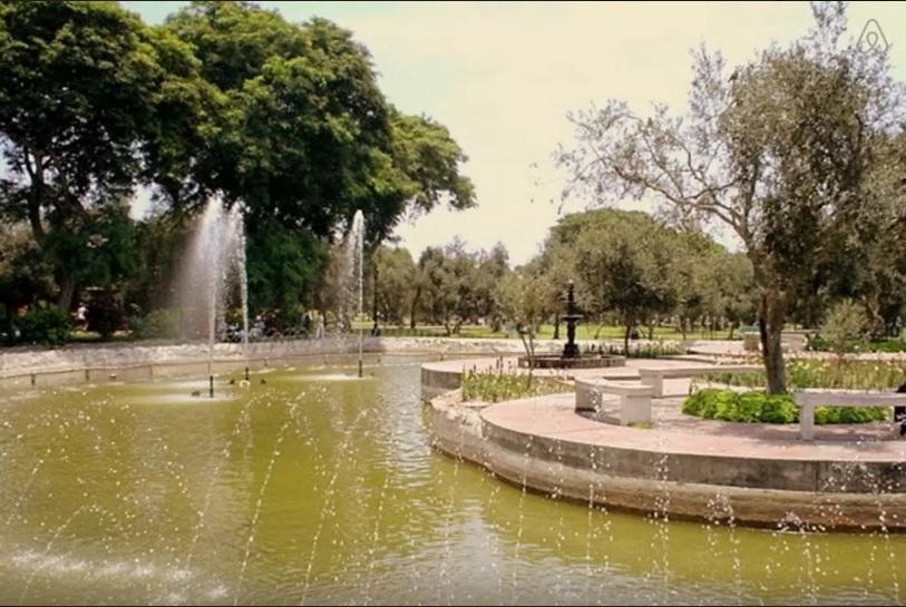 B&B El Olivar Lima Ngoại thất bức ảnh